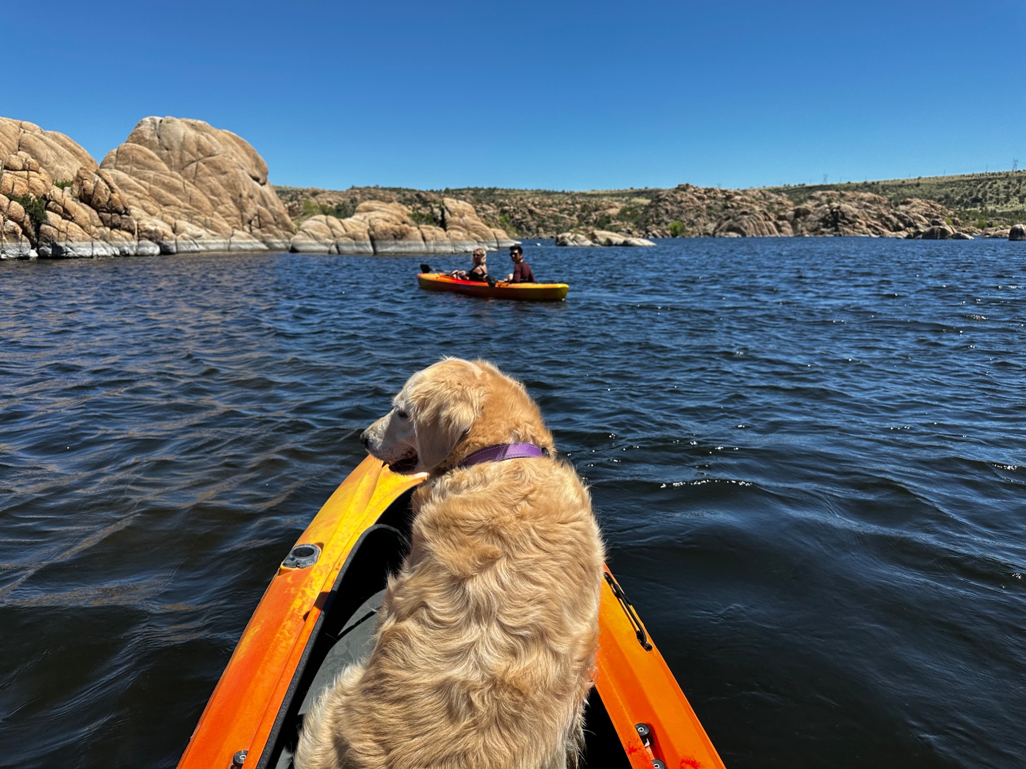 Luna riding in a kayak on a lake