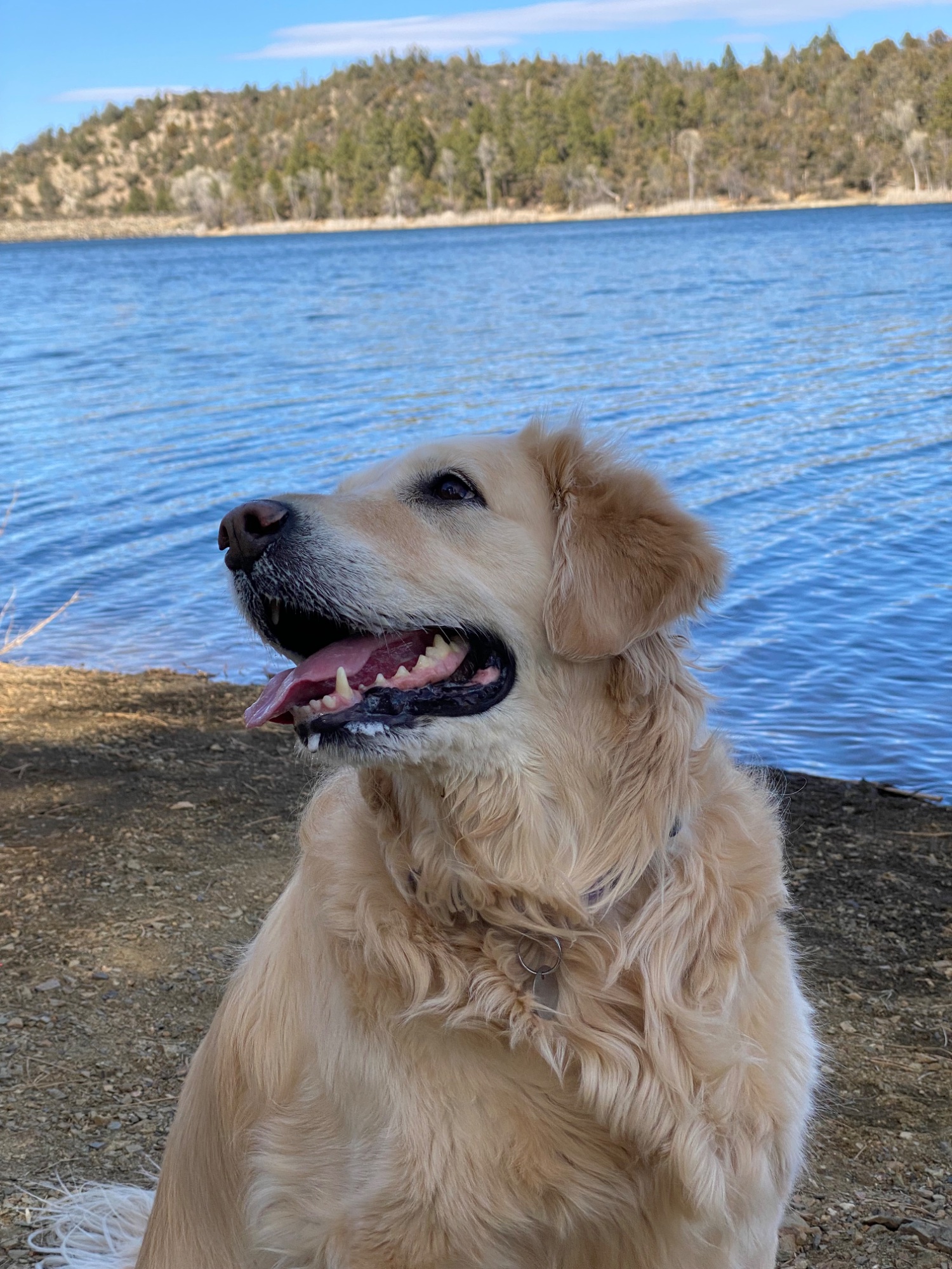 Luna by the lake
