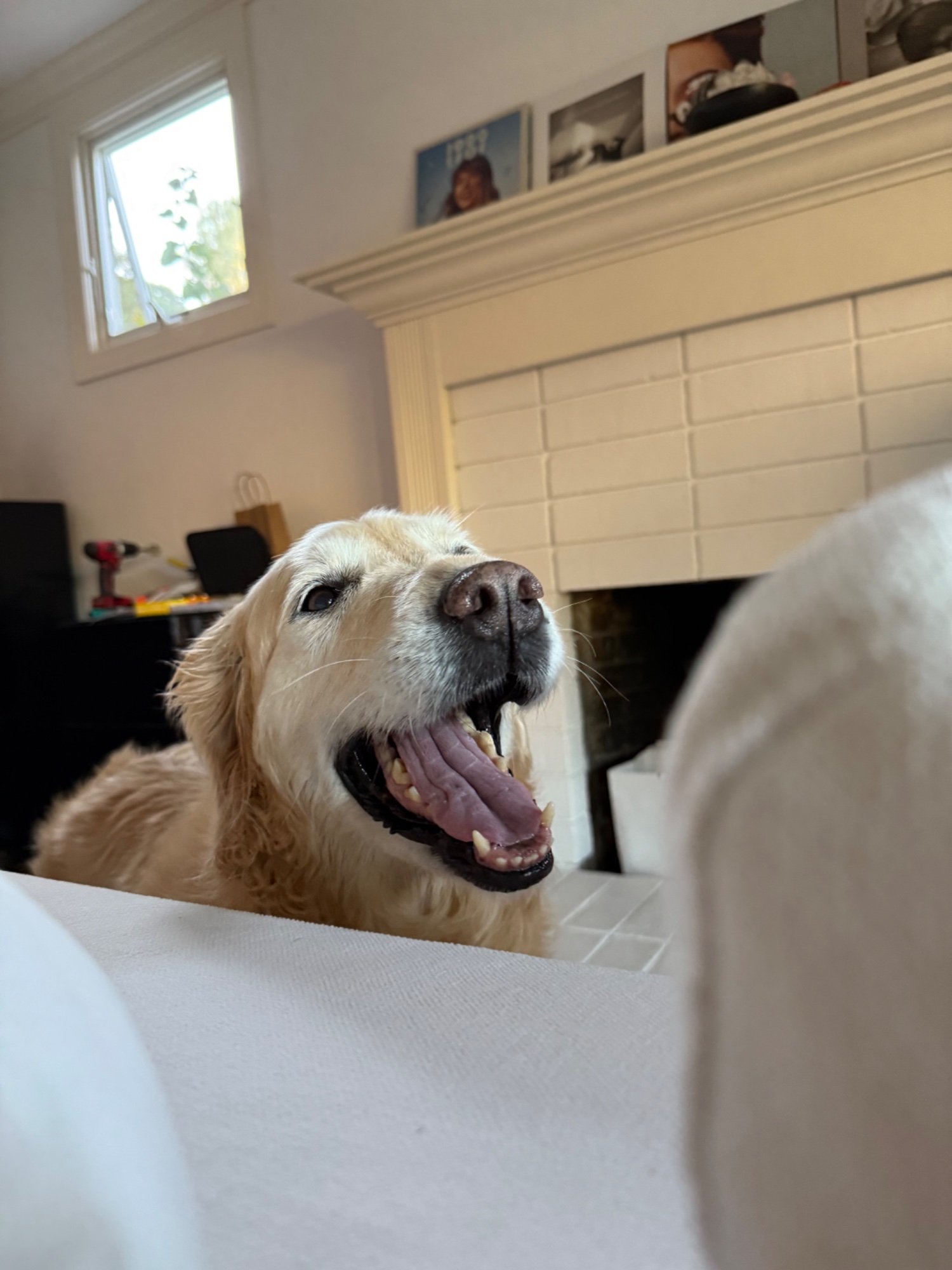Luna smiling