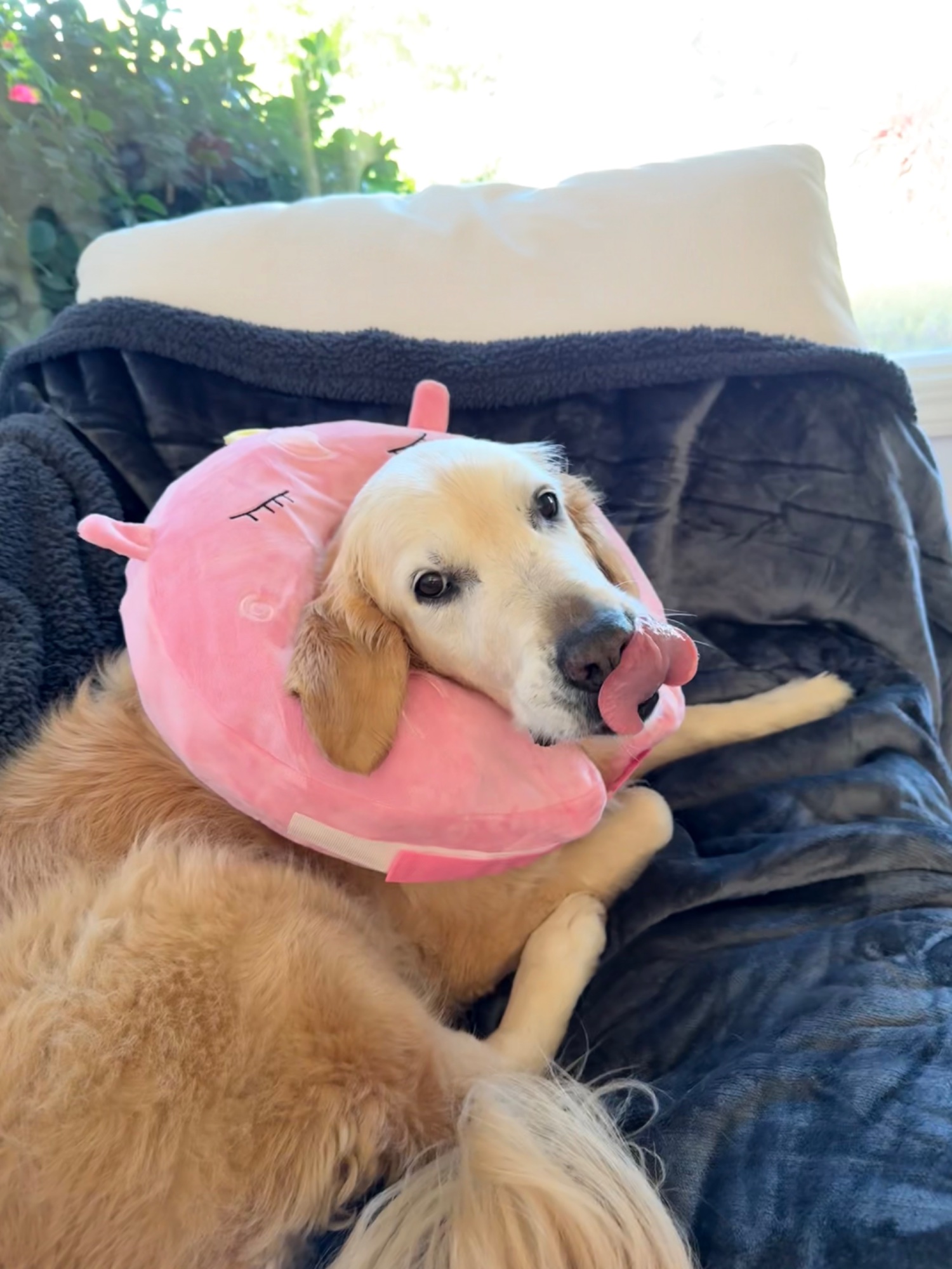 Luna in pink unicorn cone
